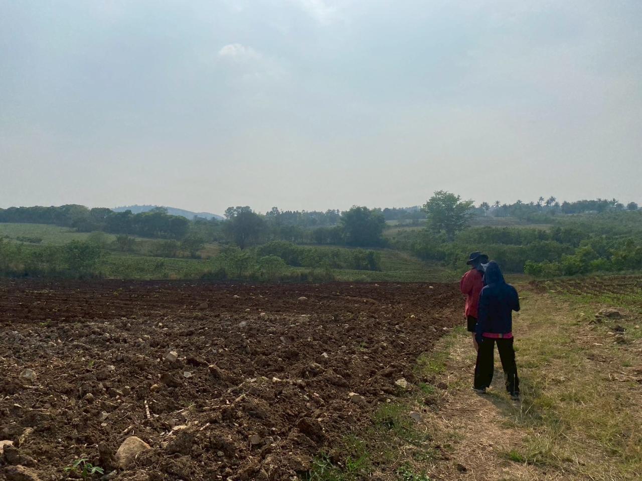 ภาพประกอบที่ 7