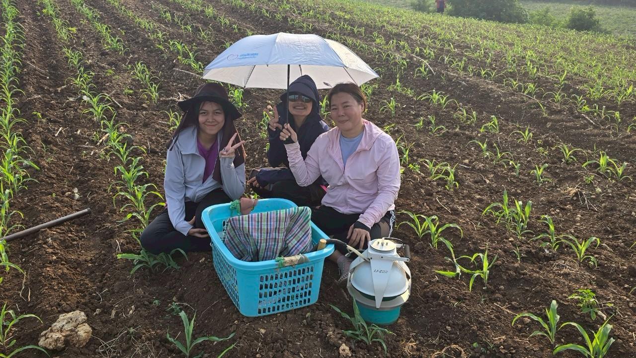 ภาพประกอบที่ 6