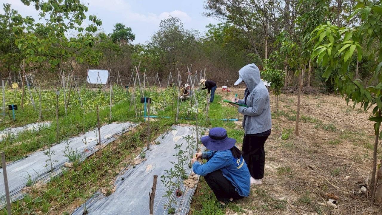 ภาพประกอบที่ 6