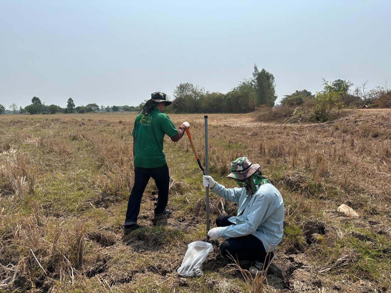 ภาพประกอบที่ 1