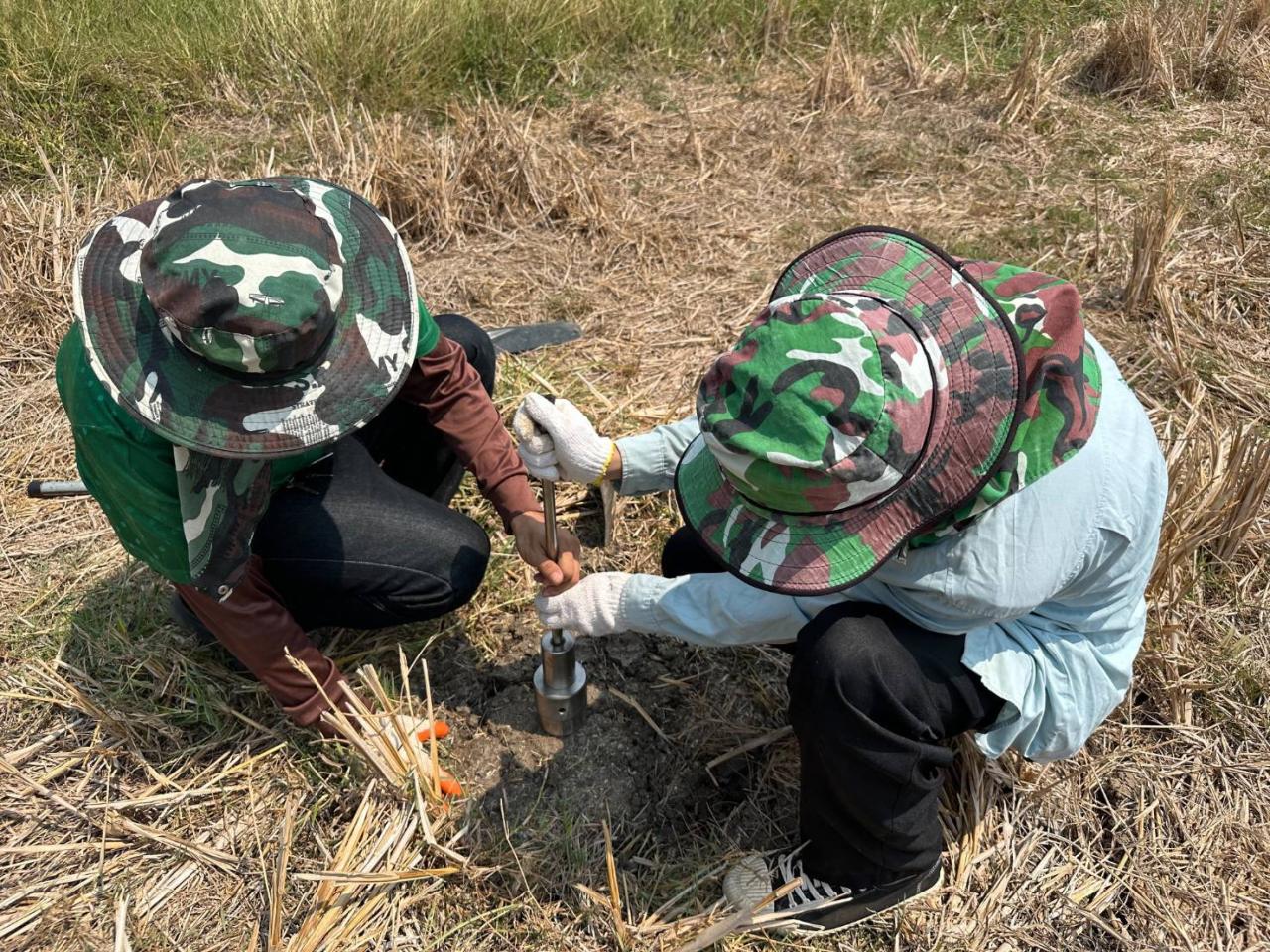ภาพประกอบที่ 3