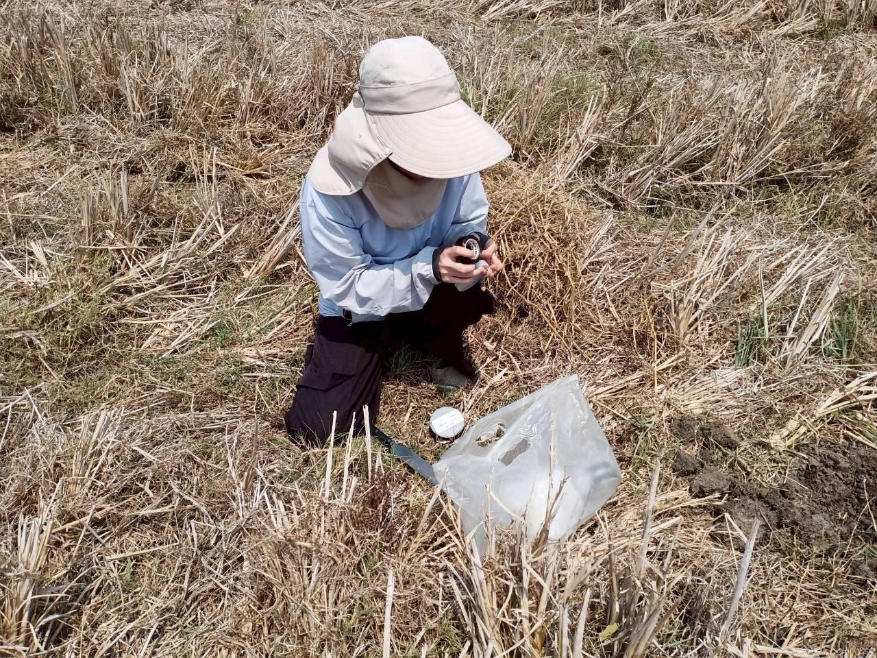 ภาพประกอบที่ 4