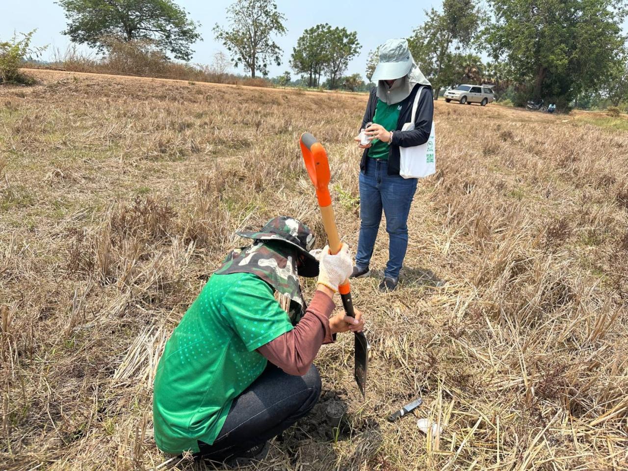 ภาพประกอบที่ 5