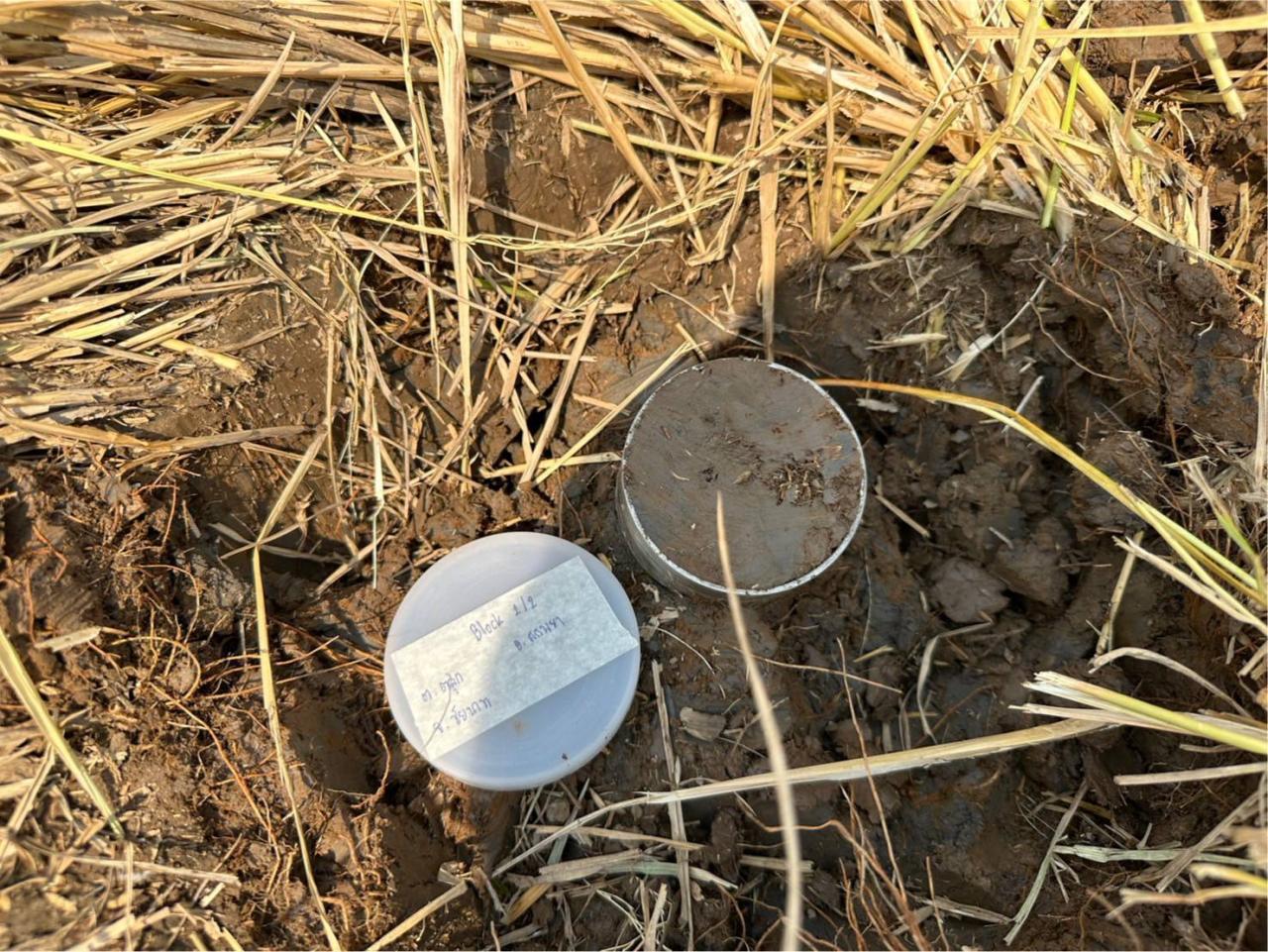 ภาพประกอบที่ 8