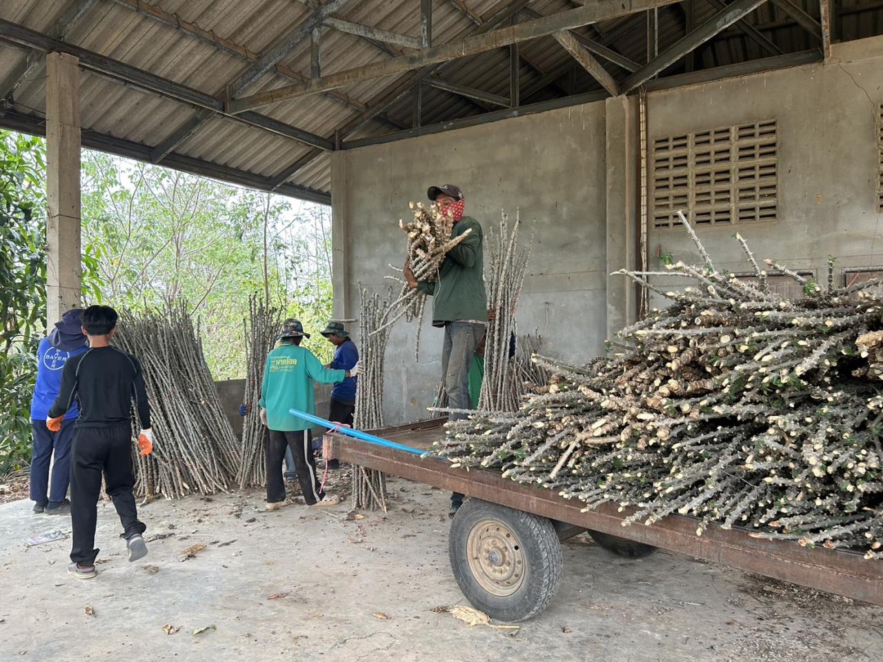 ภาพประกอบที่ 0