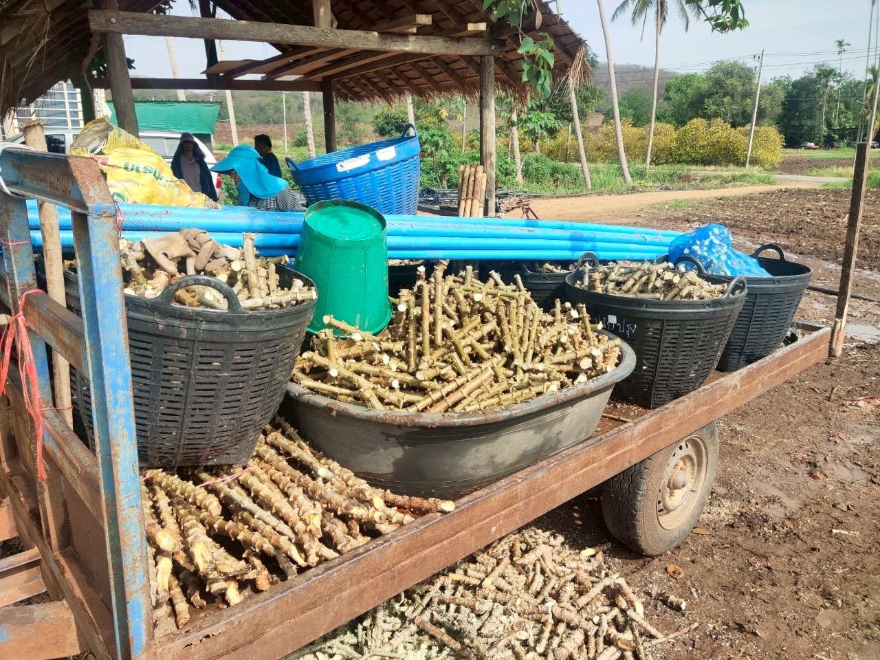 ภาพประกอบที่ 4