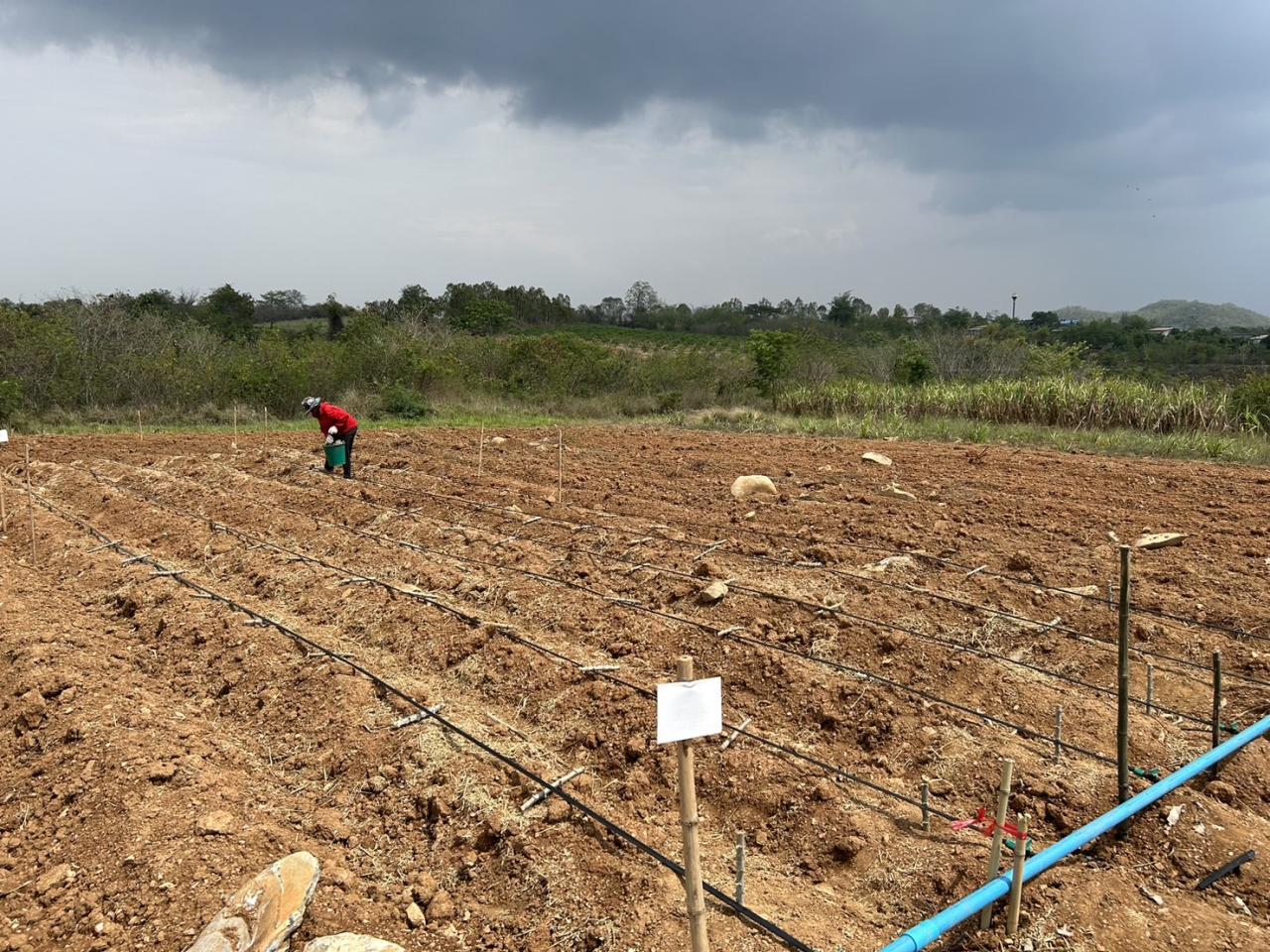 ภาพประกอบที่ 5