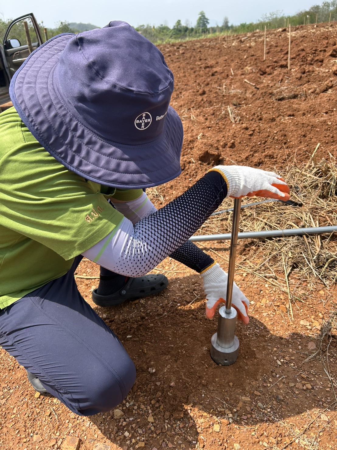 ภาพประกอบที่ 1