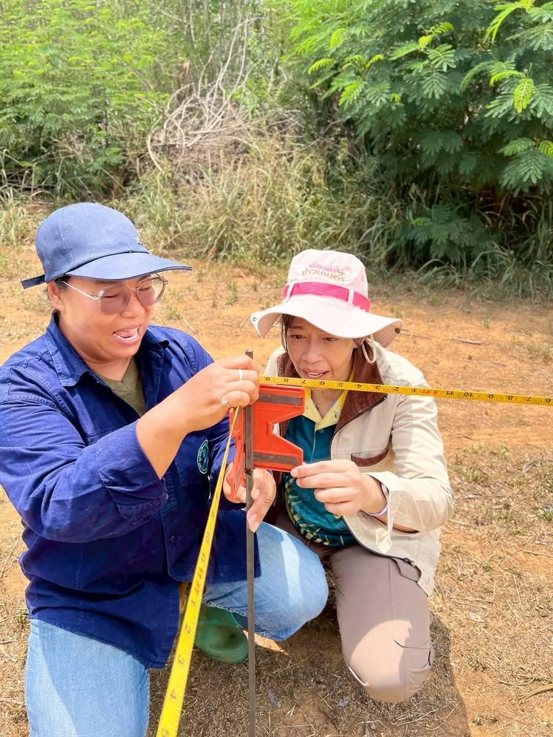 ภาพประกอบที่ 0