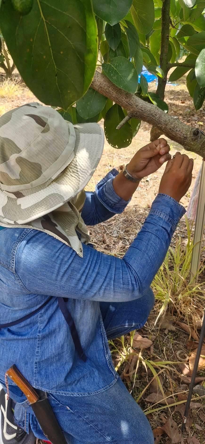 ภาพประกอบที่ 2