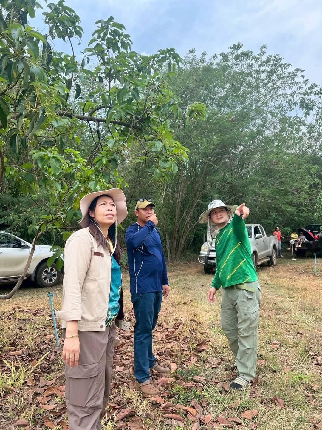 ภาพประกอบที่ 3