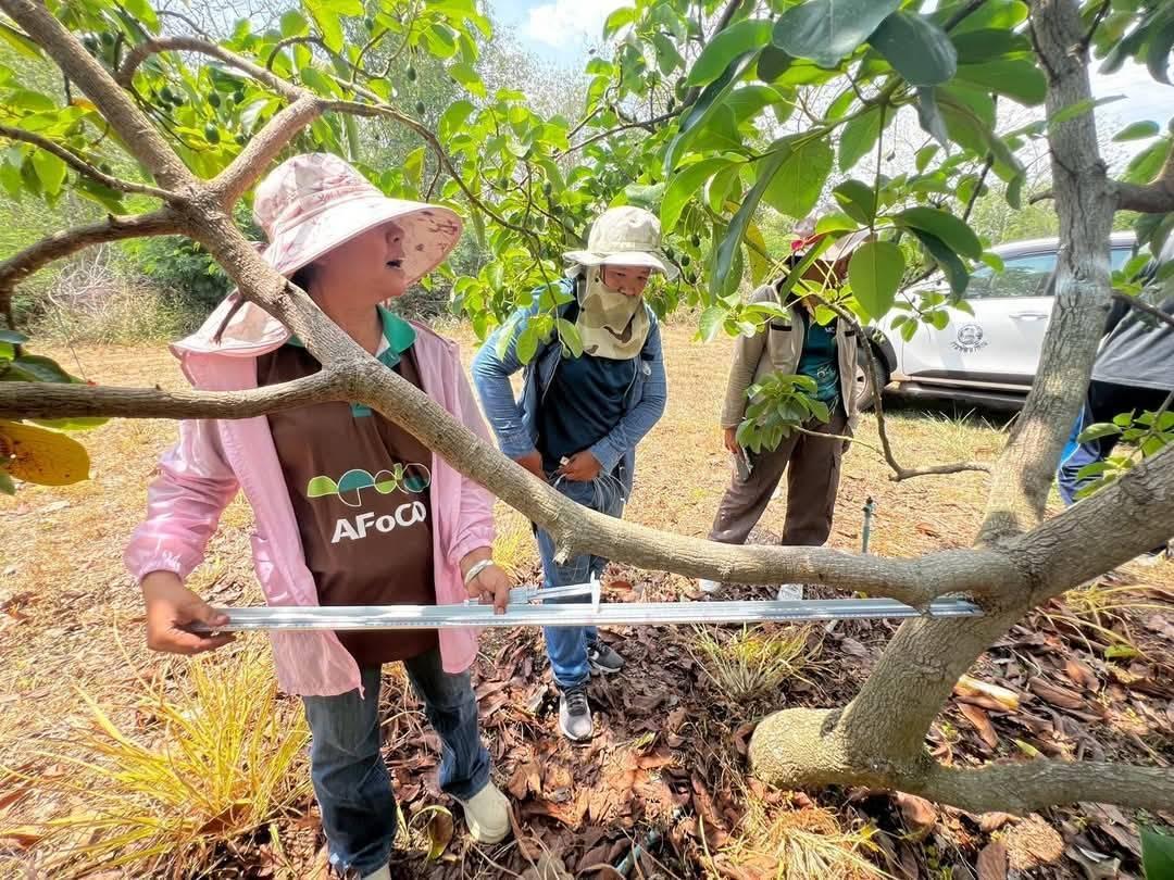 ภาพประกอบที่ 4