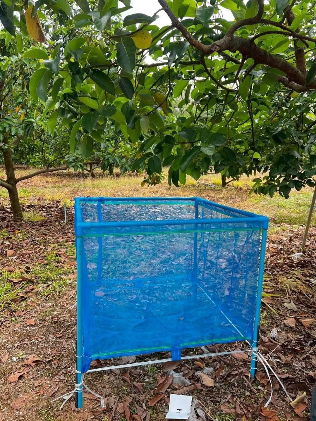 ภาพประกอบที่ 6