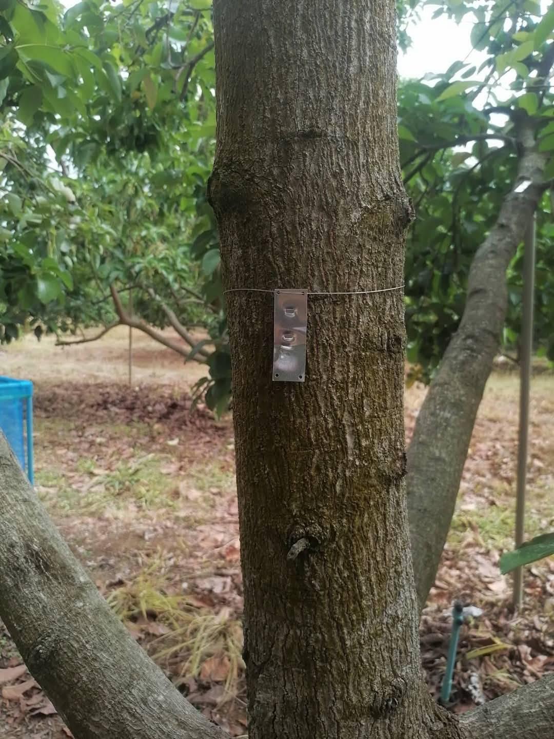 ภาพประกอบที่ 7