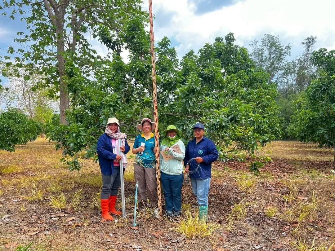 ภาพประกอบที่ 8