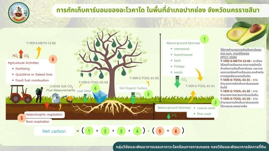 ภาพประกอบที่ 10