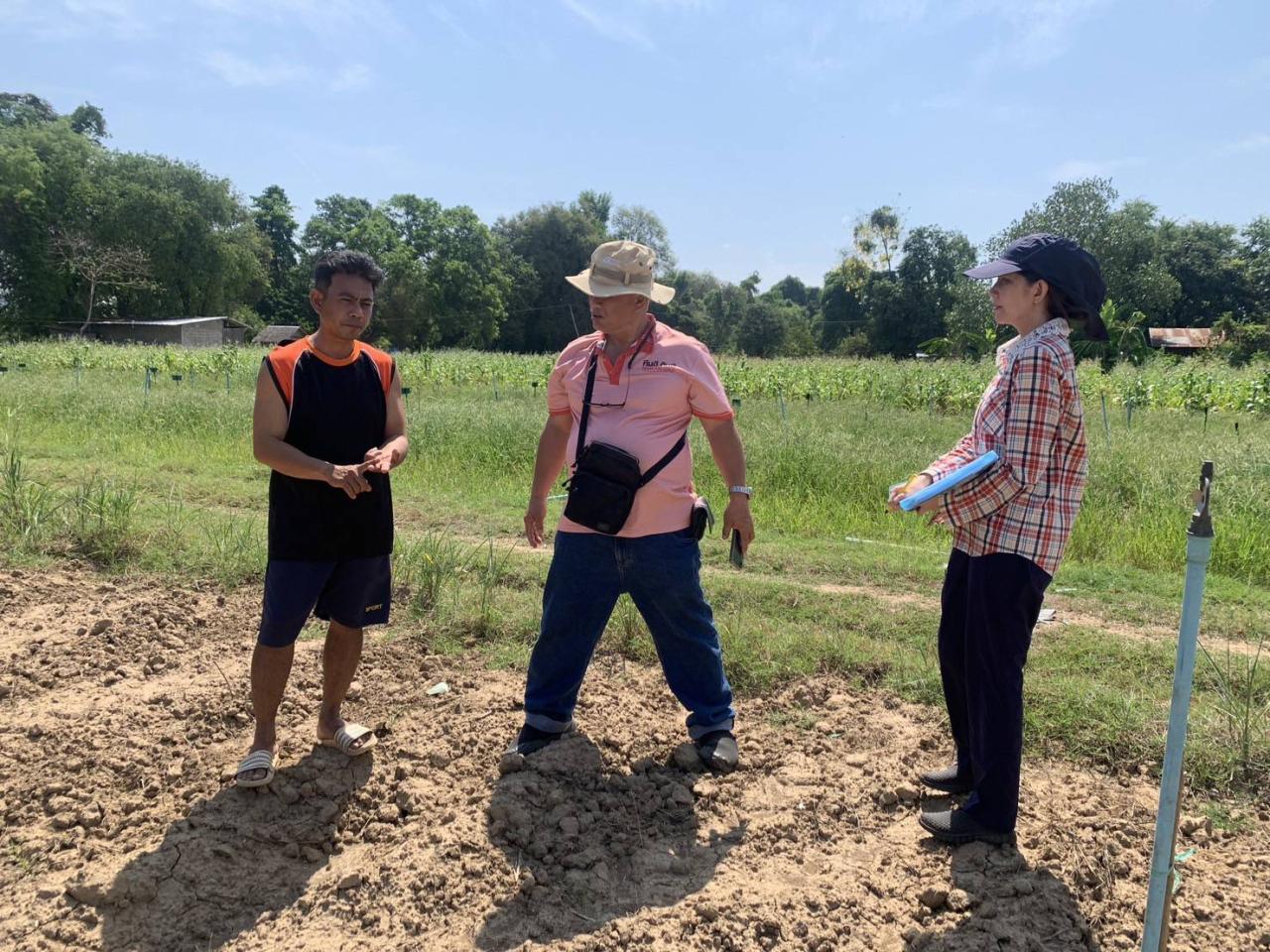 ภาพประกอบที่ 0