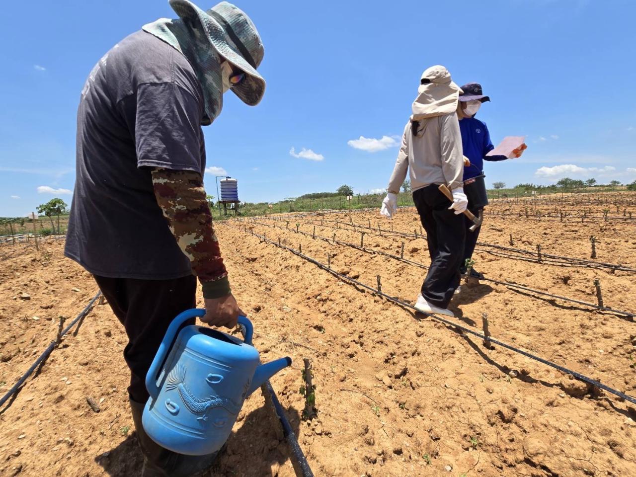 ภาพประกอบที่ 2
