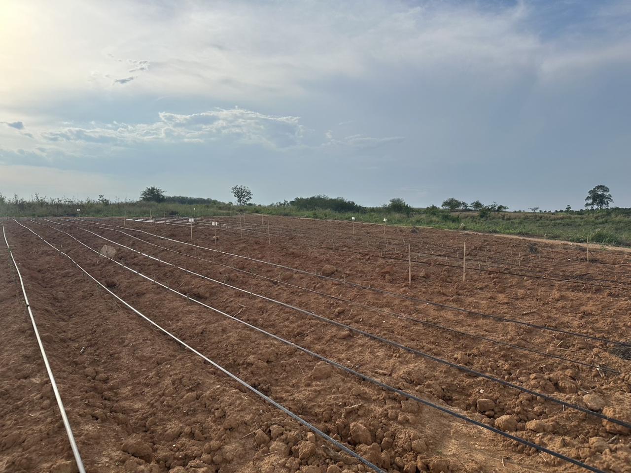 ภาพประกอบที่ 5