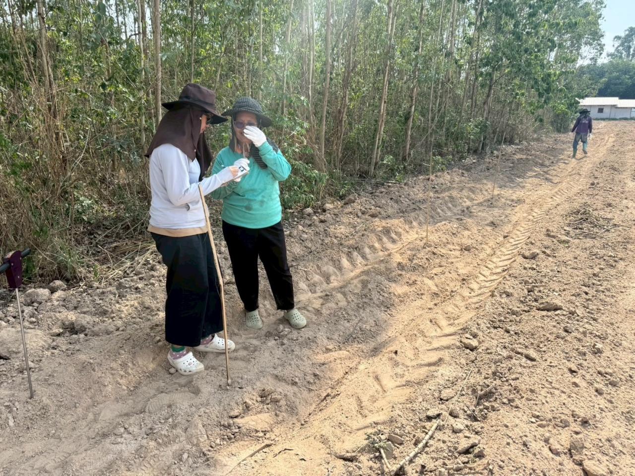 ภาพประกอบที่ 1