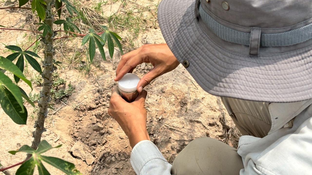 ภาพประกอบที่ 3