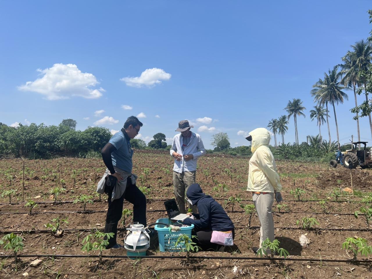 ภาพประกอบที่ 5