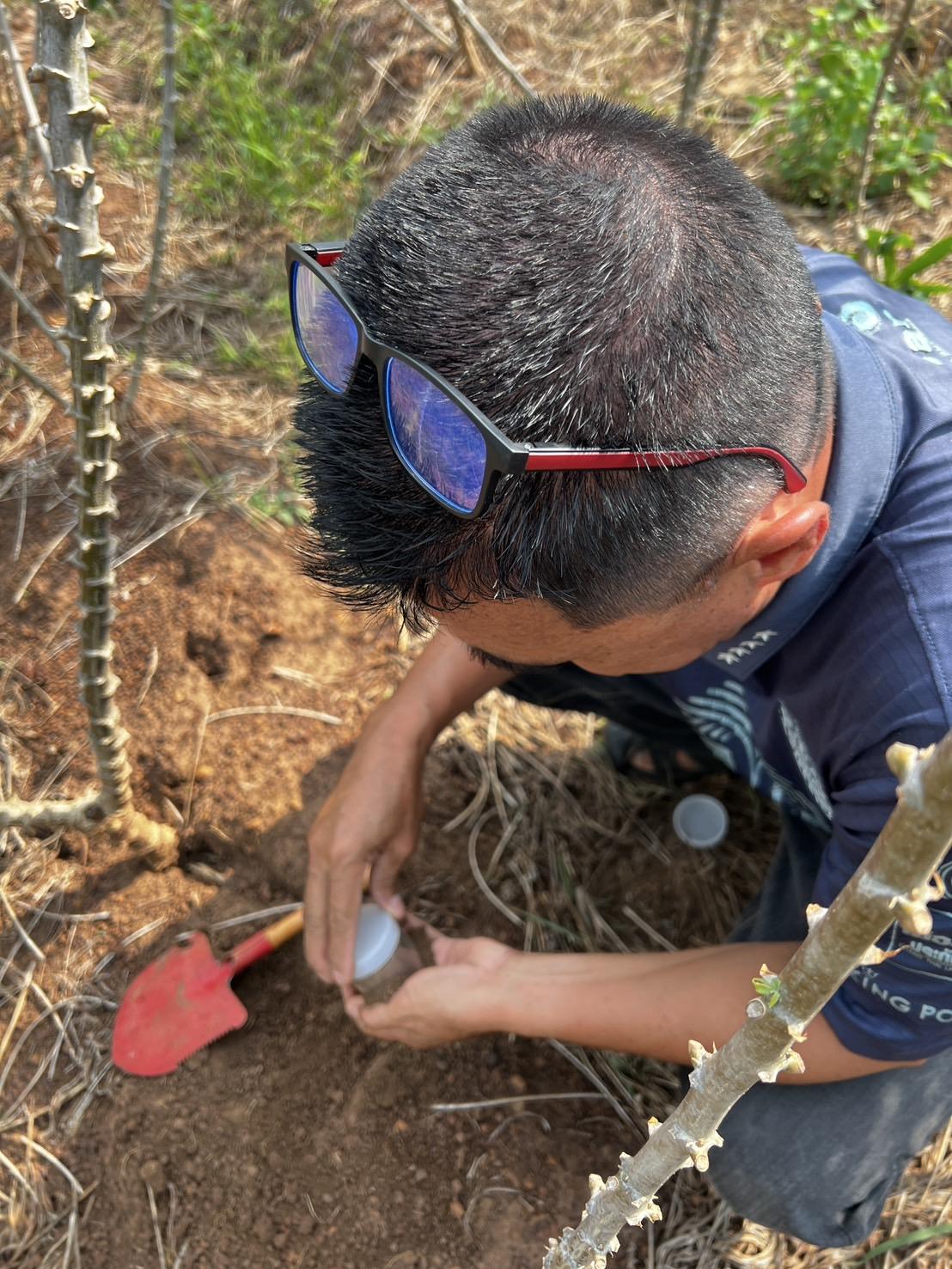 ภาพประกอบที่ 6