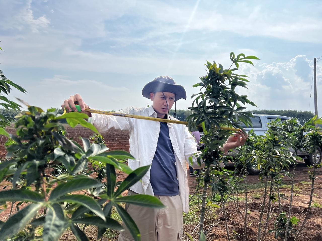 ภาพประกอบที่ 7