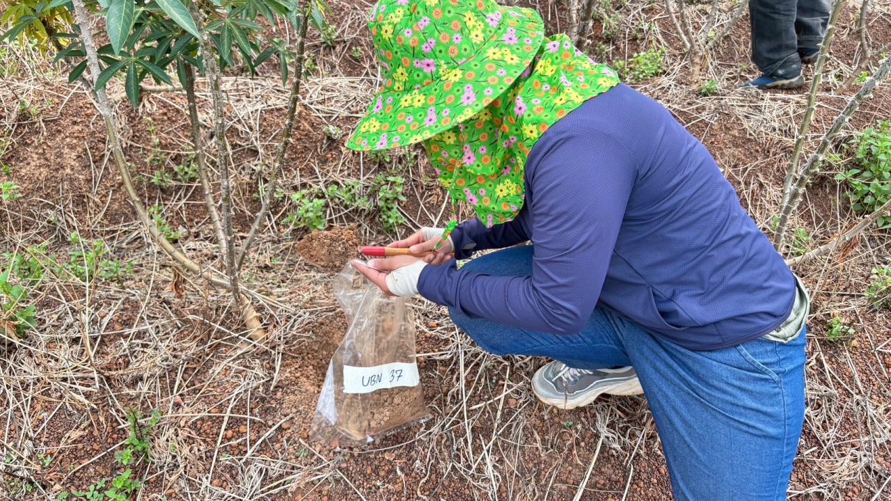 ภาพประกอบที่ 8