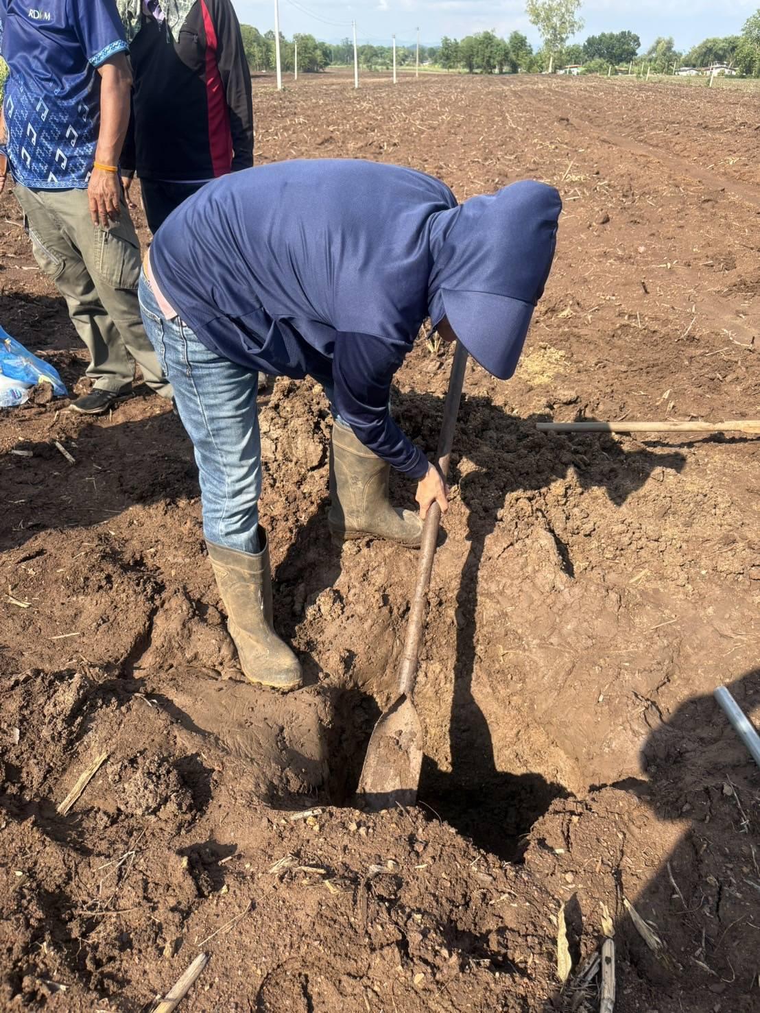 ภาพประกอบที่ 1