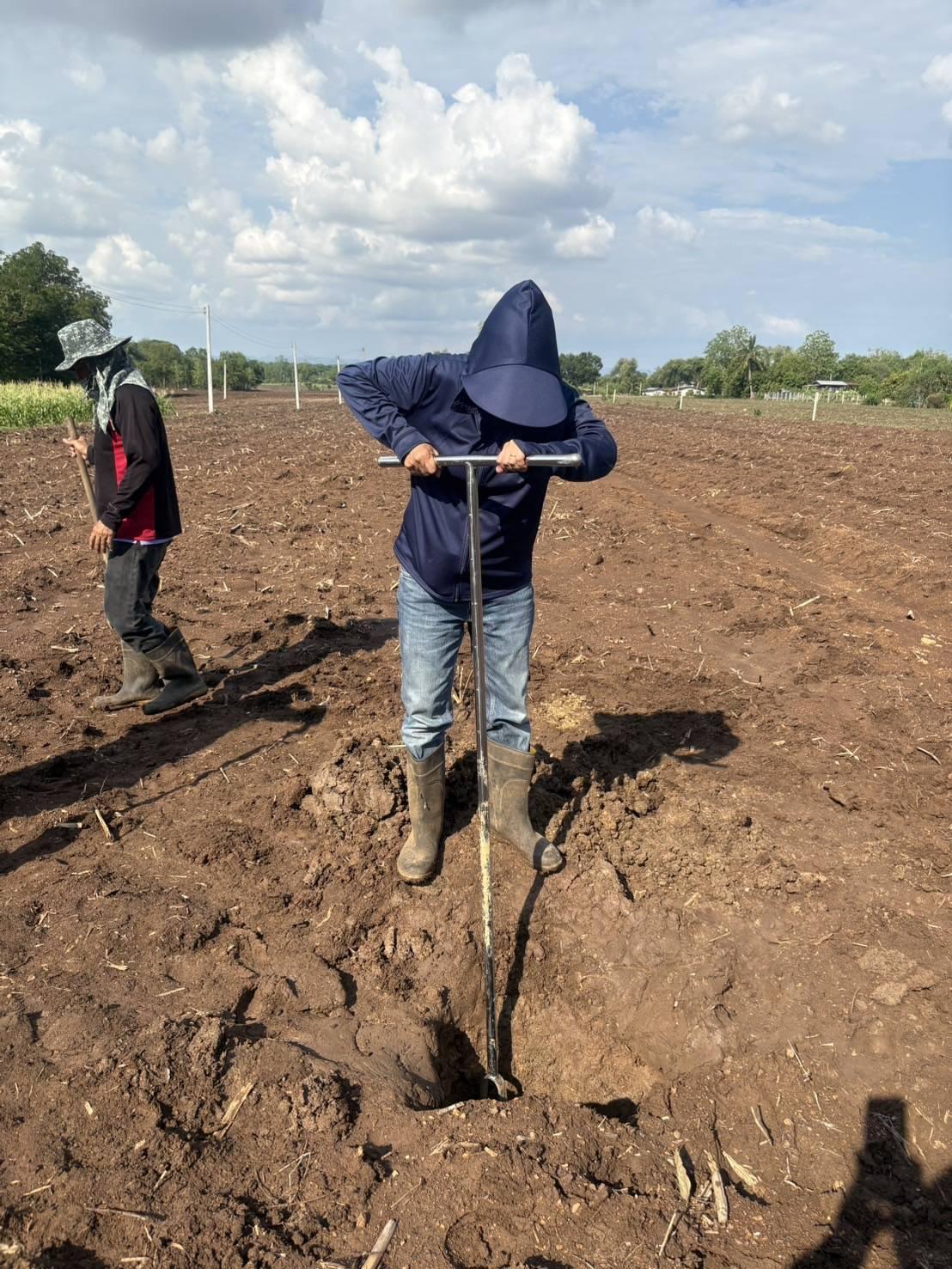 ภาพประกอบที่ 6