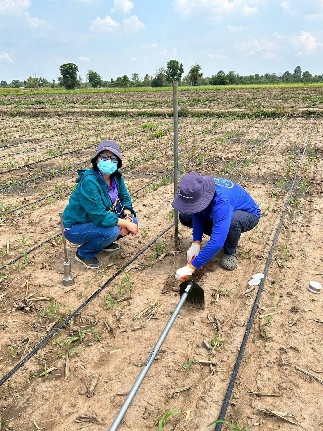 ภาพประกอบที่ 2
