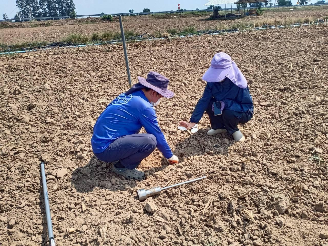 ภาพประกอบที่ 4