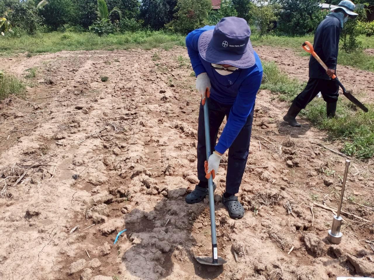 ภาพประกอบที่ 5