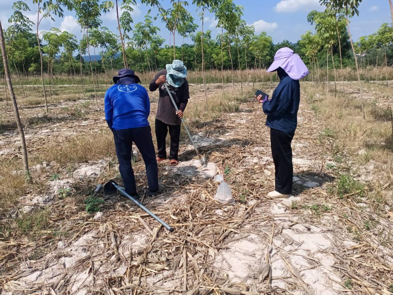 ภาพประกอบที่ 6