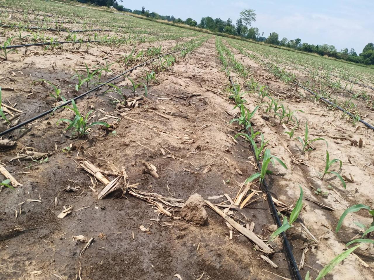 ภาพประกอบที่ 7