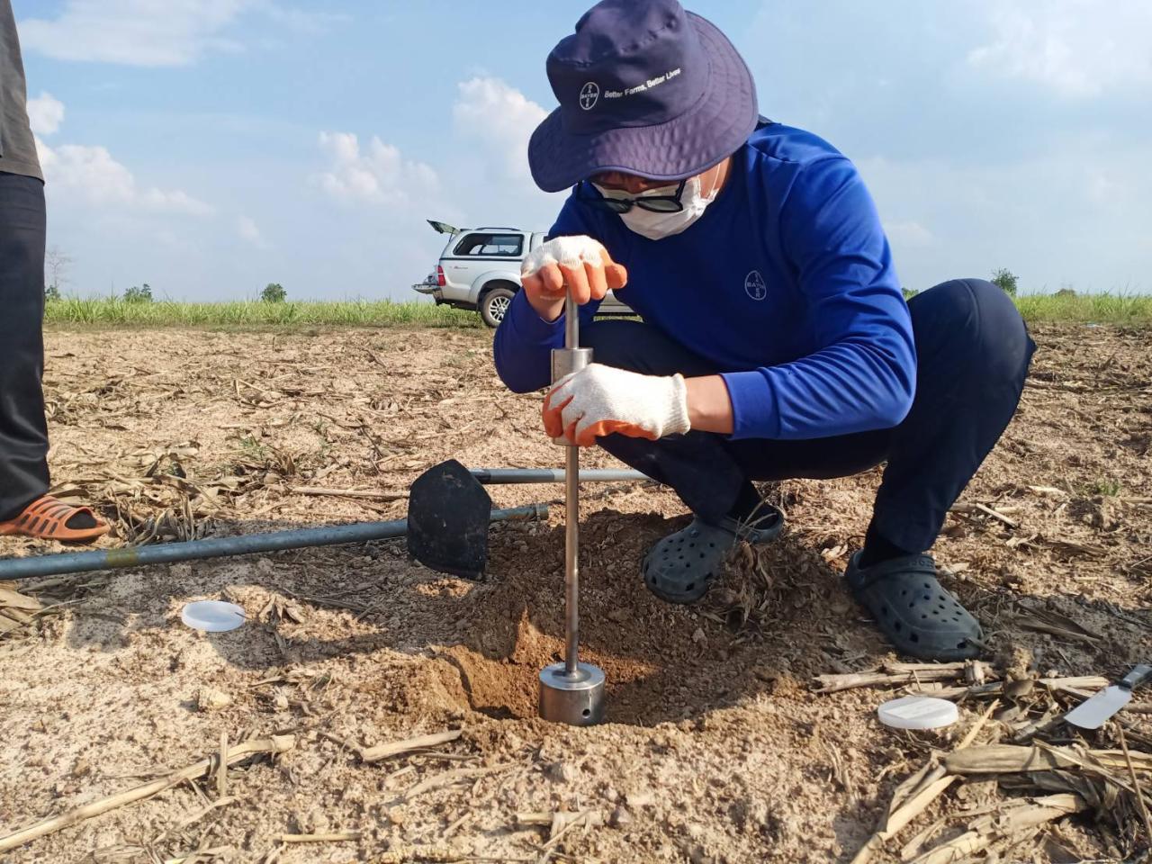 ภาพประกอบที่ 8