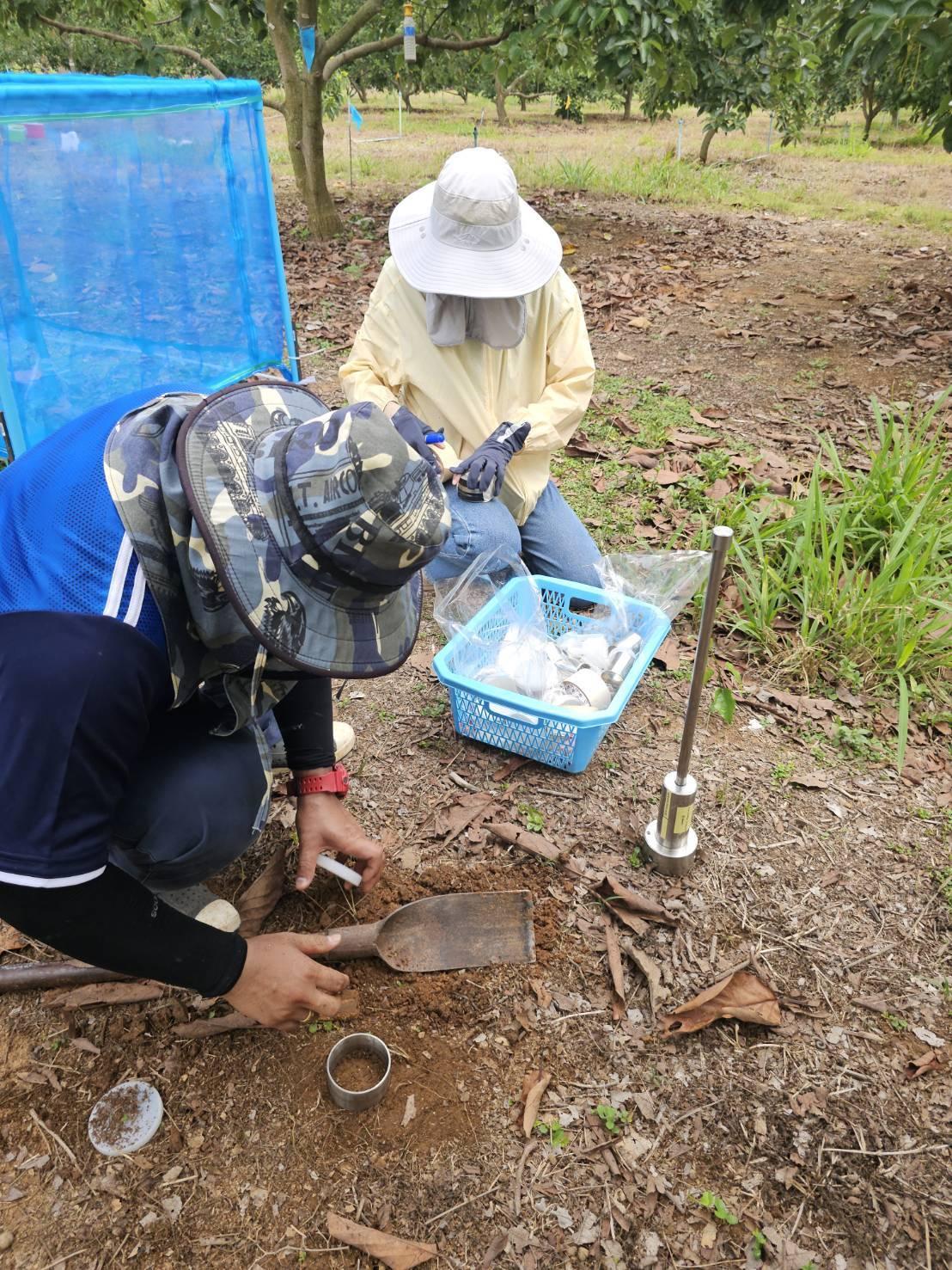 ภาพประกอบที่ 1