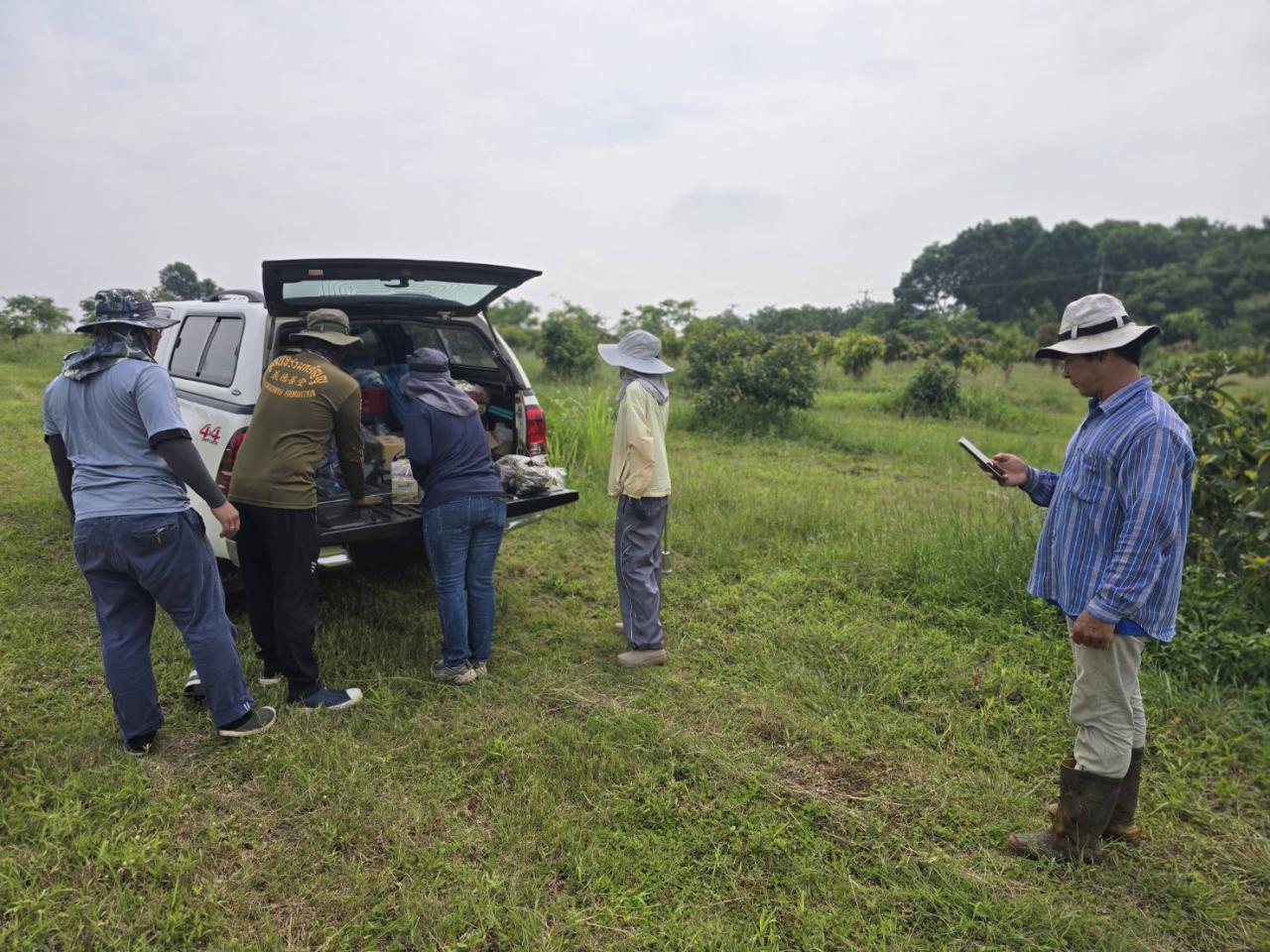 ภาพประกอบที่ 2