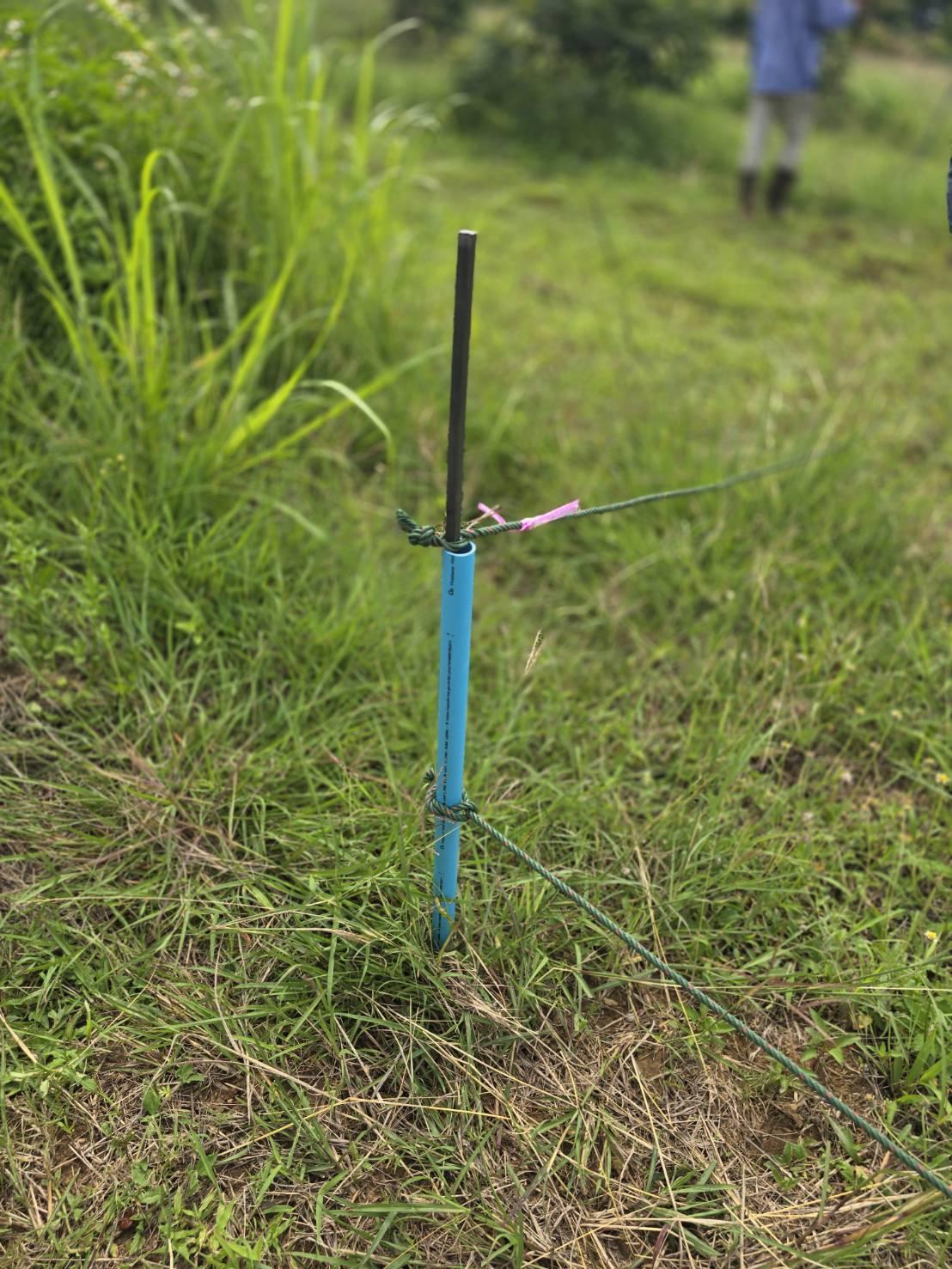 ภาพประกอบที่ 7