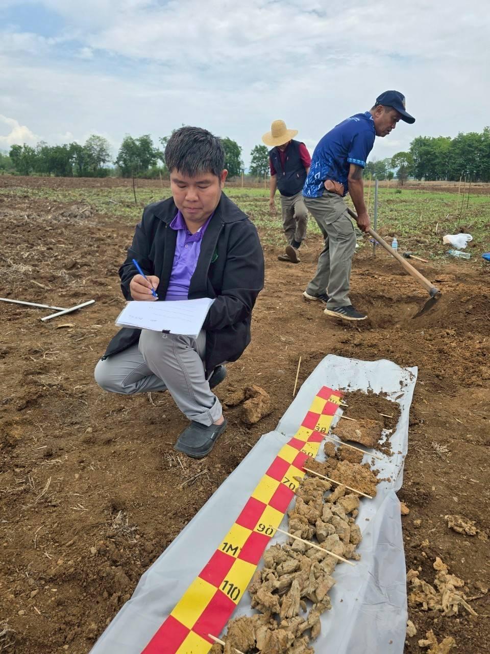 ภาพประกอบที่ 1