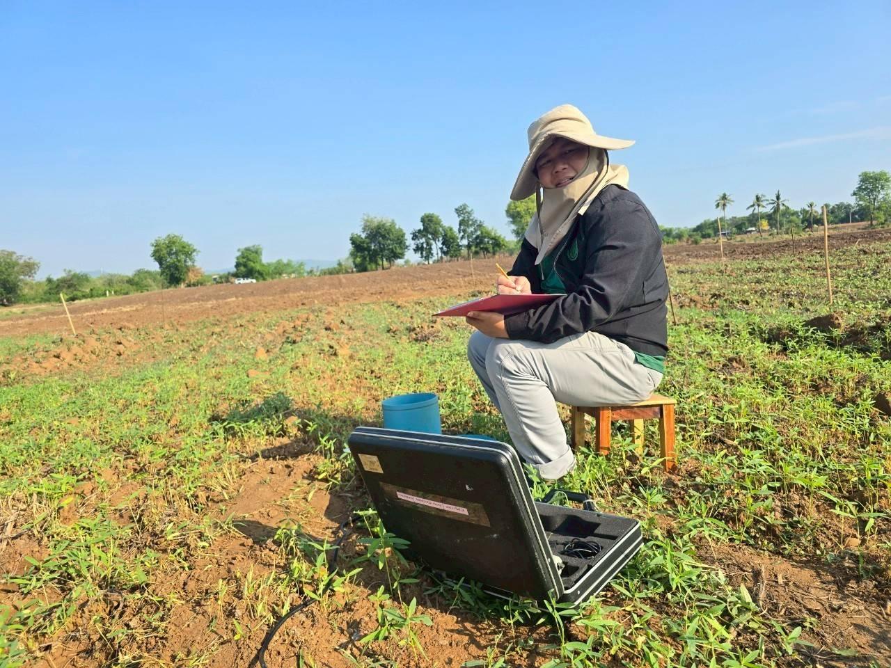 ภาพประกอบที่ 4
