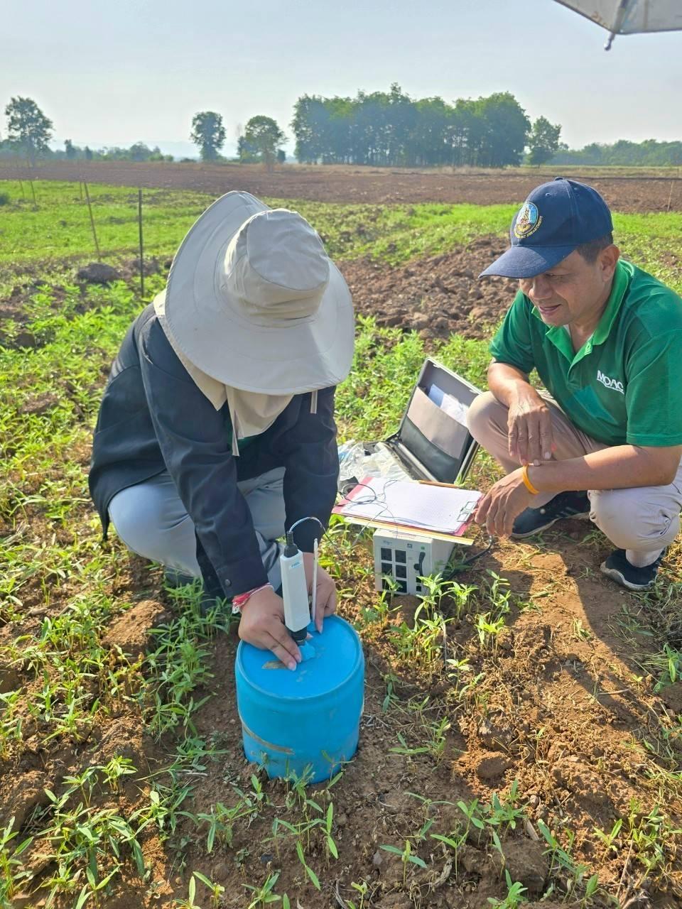 ภาพประกอบที่ 5