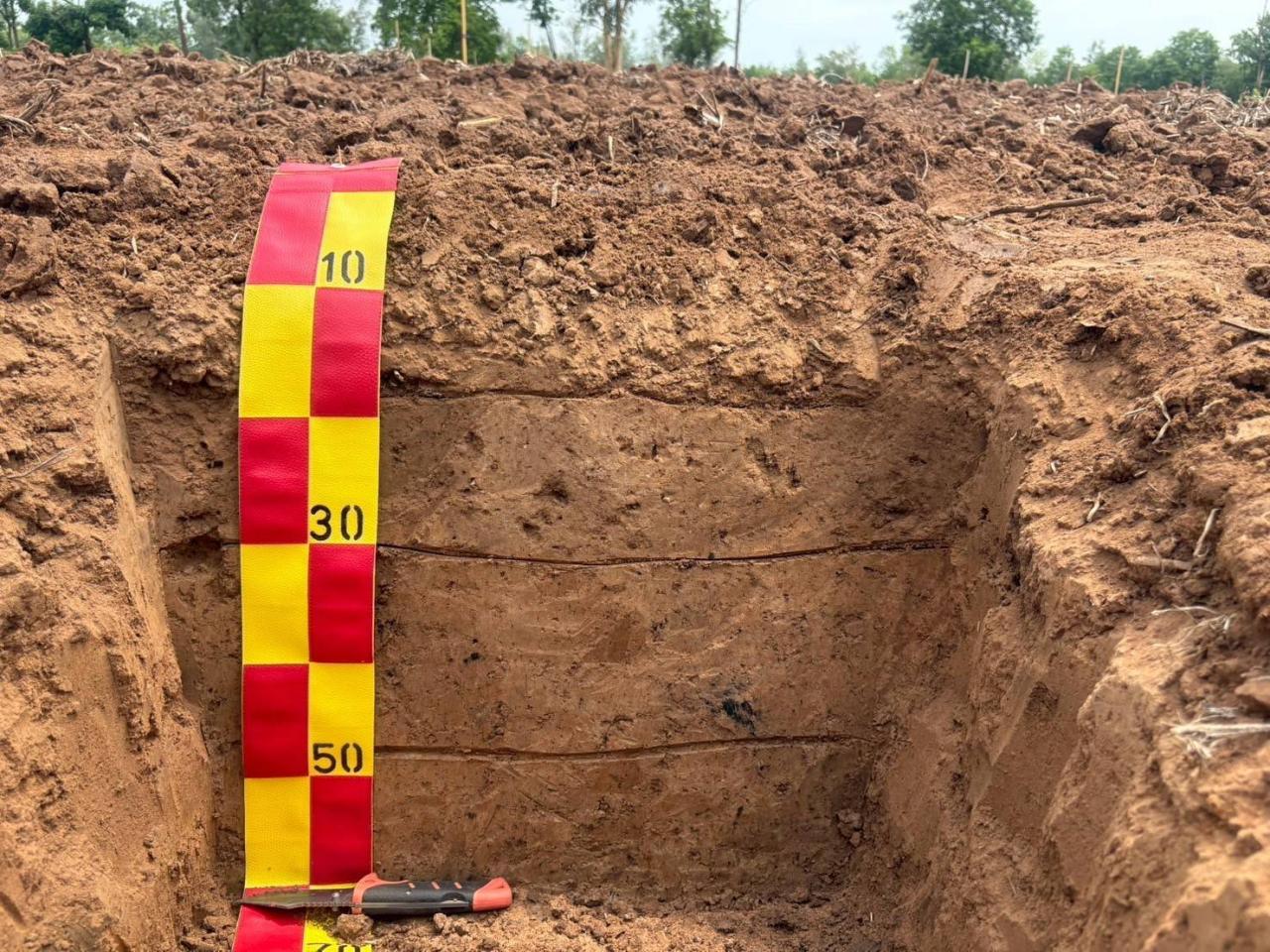 ภาพประกอบที่ 6