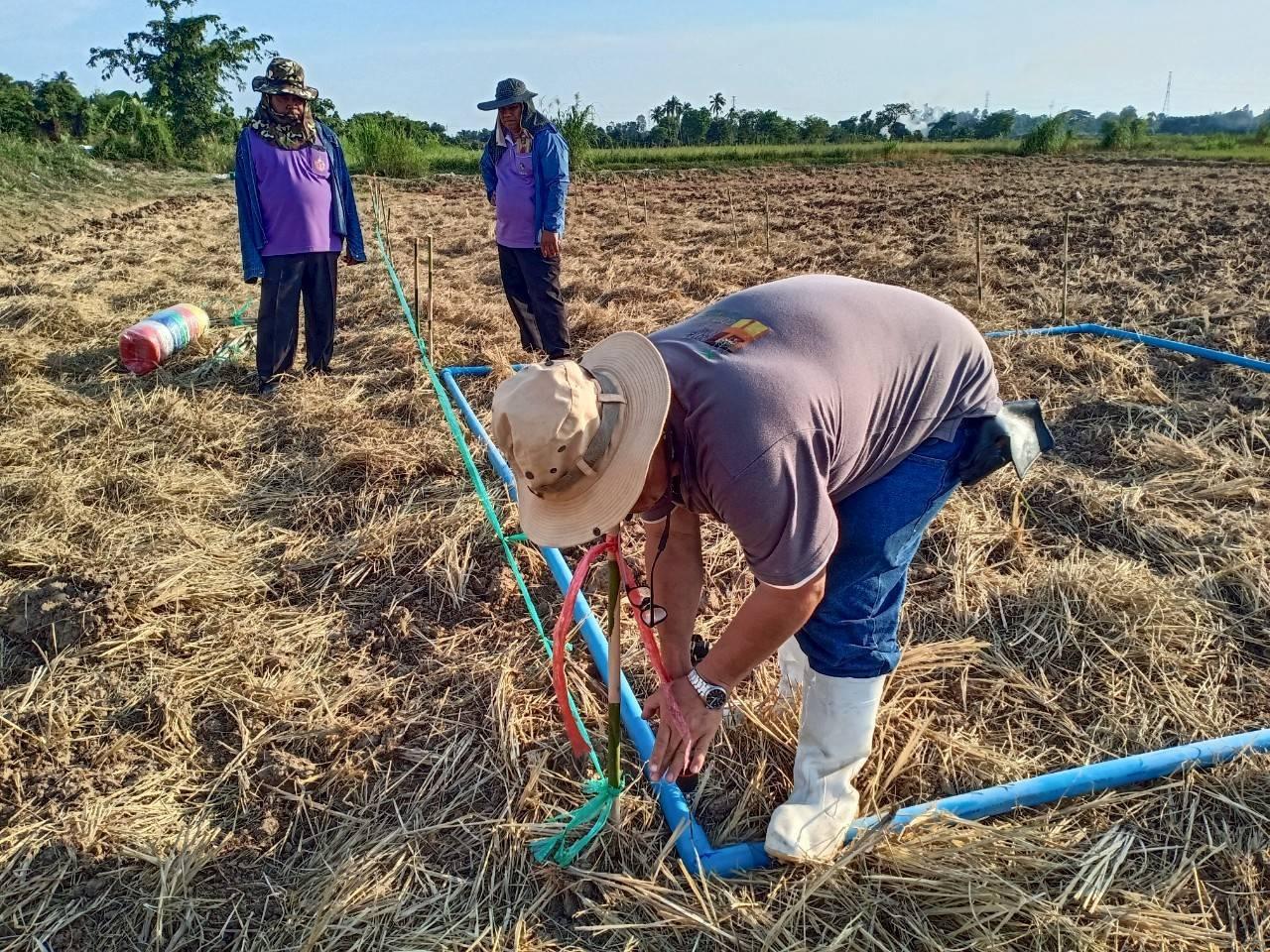 ภาพประกอบที่ 1