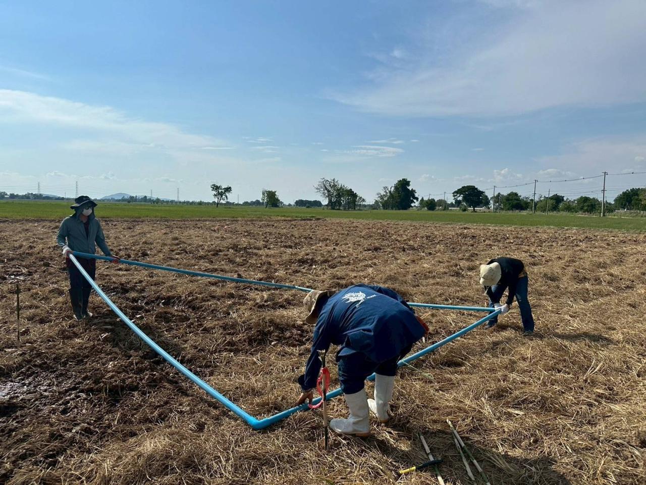 ภาพประกอบที่ 2