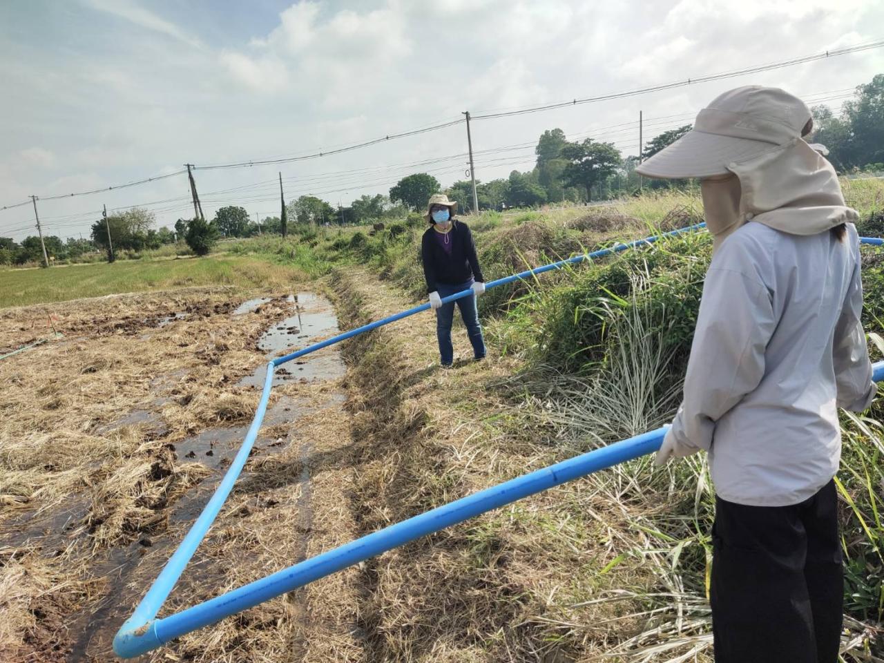 ภาพประกอบที่ 3