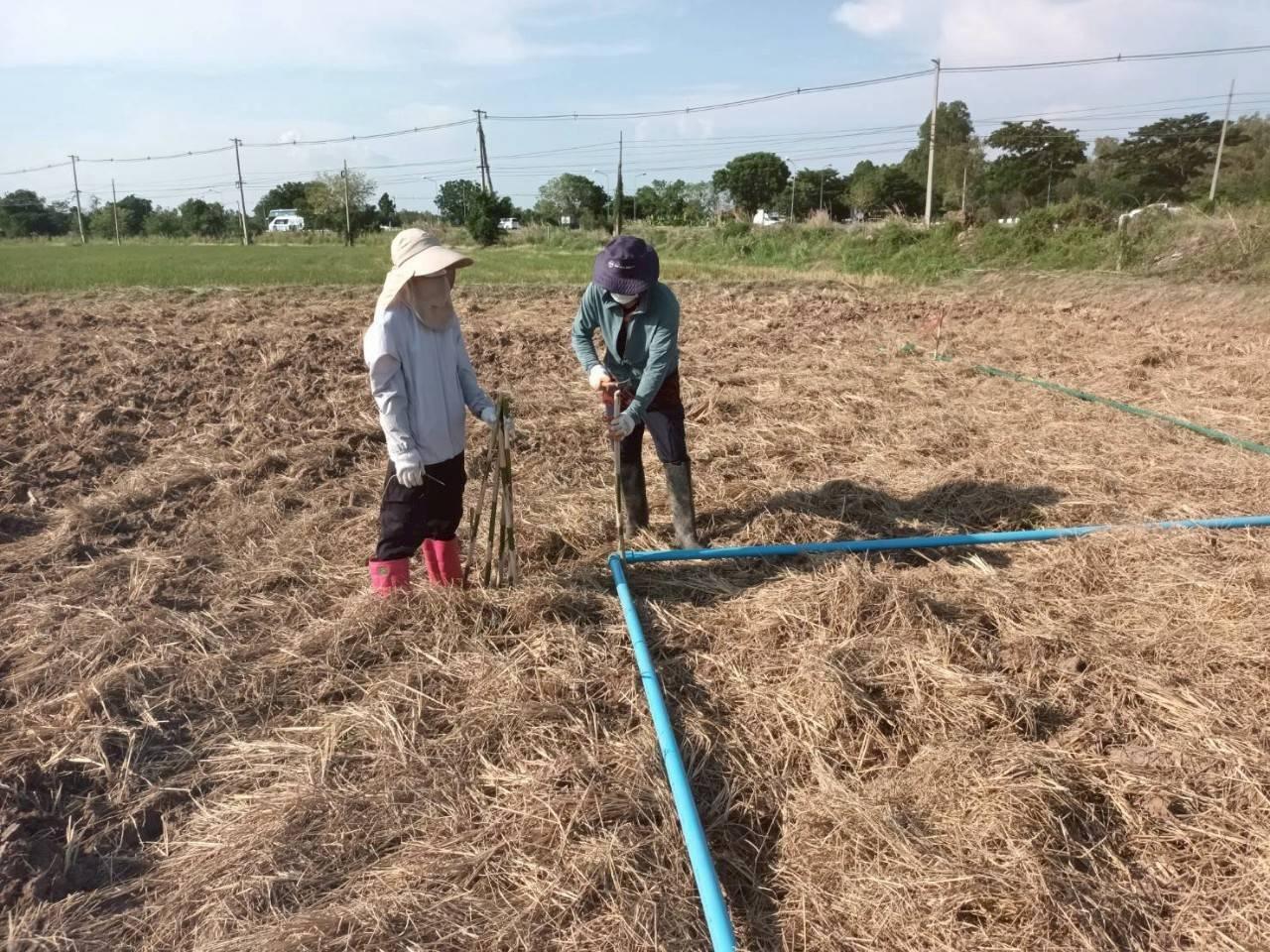 ภาพประกอบที่ 4
