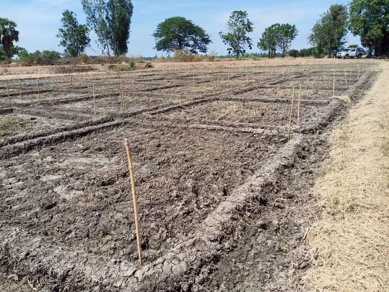 ภาพประกอบที่ 7