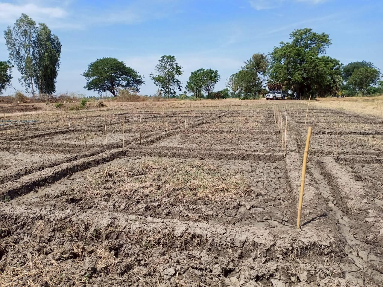 ภาพประกอบที่ 8